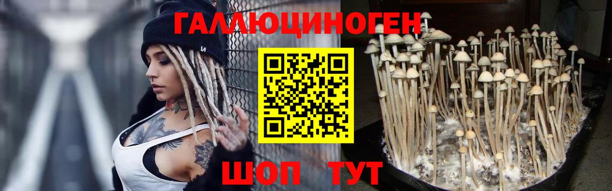 Галлюциногенные грибы Cubensis  Вход с VPN  Аксай 