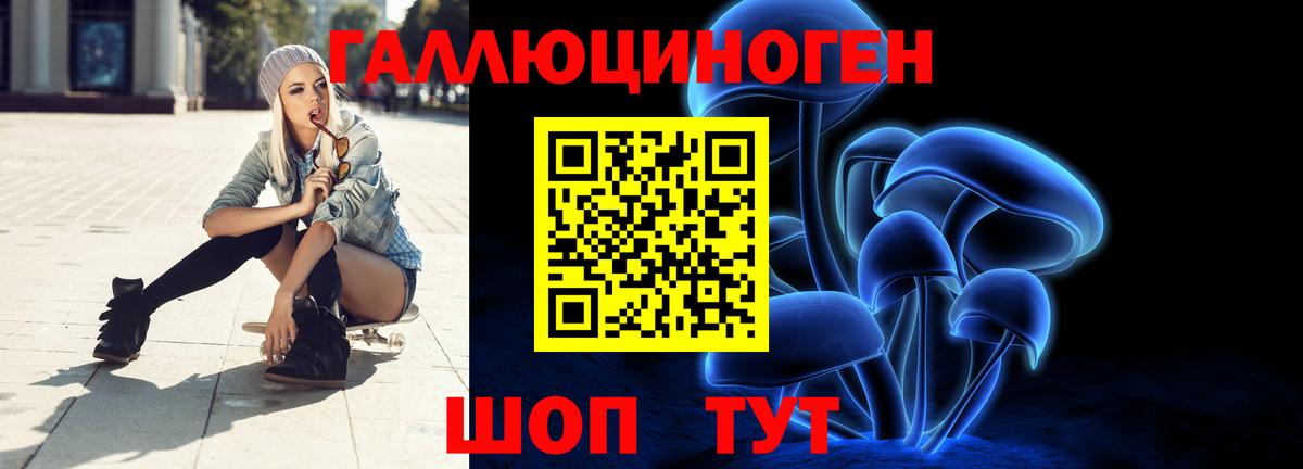 Псилоцибиновые грибы Psilocybe Аксай